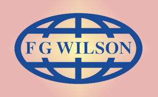 ✓ FG-Wilson 00000-00019 Запчасти Перкинс / Вилсон 