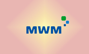 ✓ MWM 12452168 Прокладка 